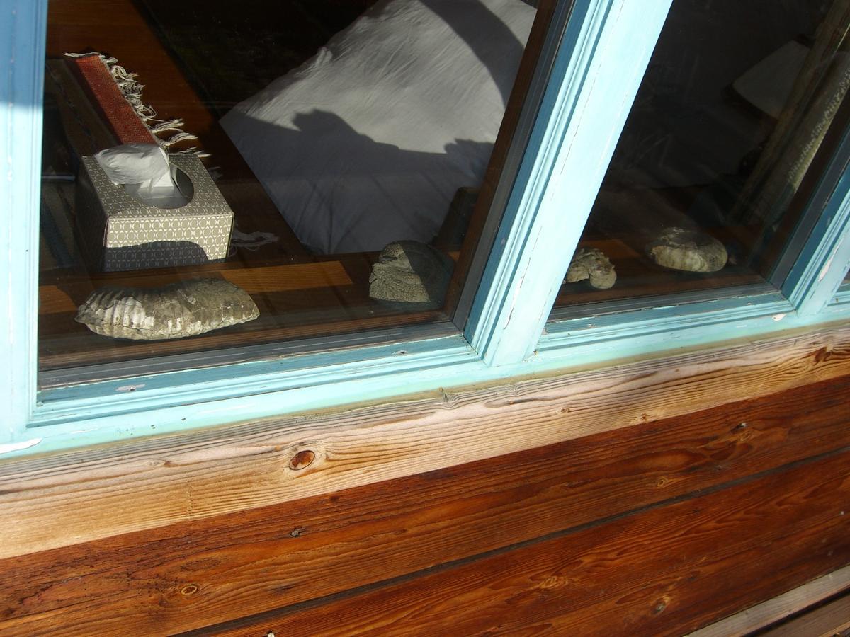 Brigitte'S Bavarian Bed Und Breakfast Millers Landing Extérieur photo